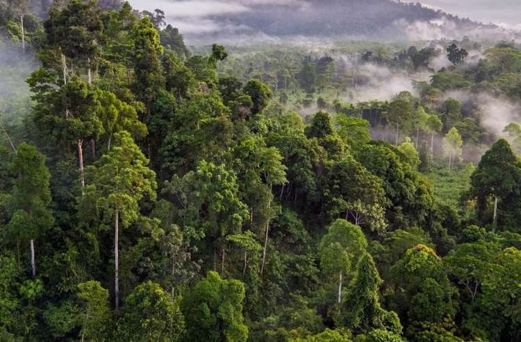 Cardamom Mountains